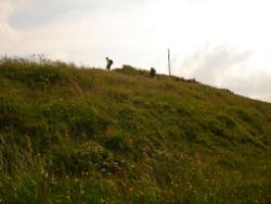 2013-07-07_Kotalm-Jochberg (247).JPG